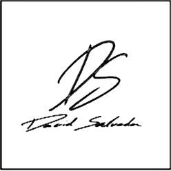 logo David Salvador Soler